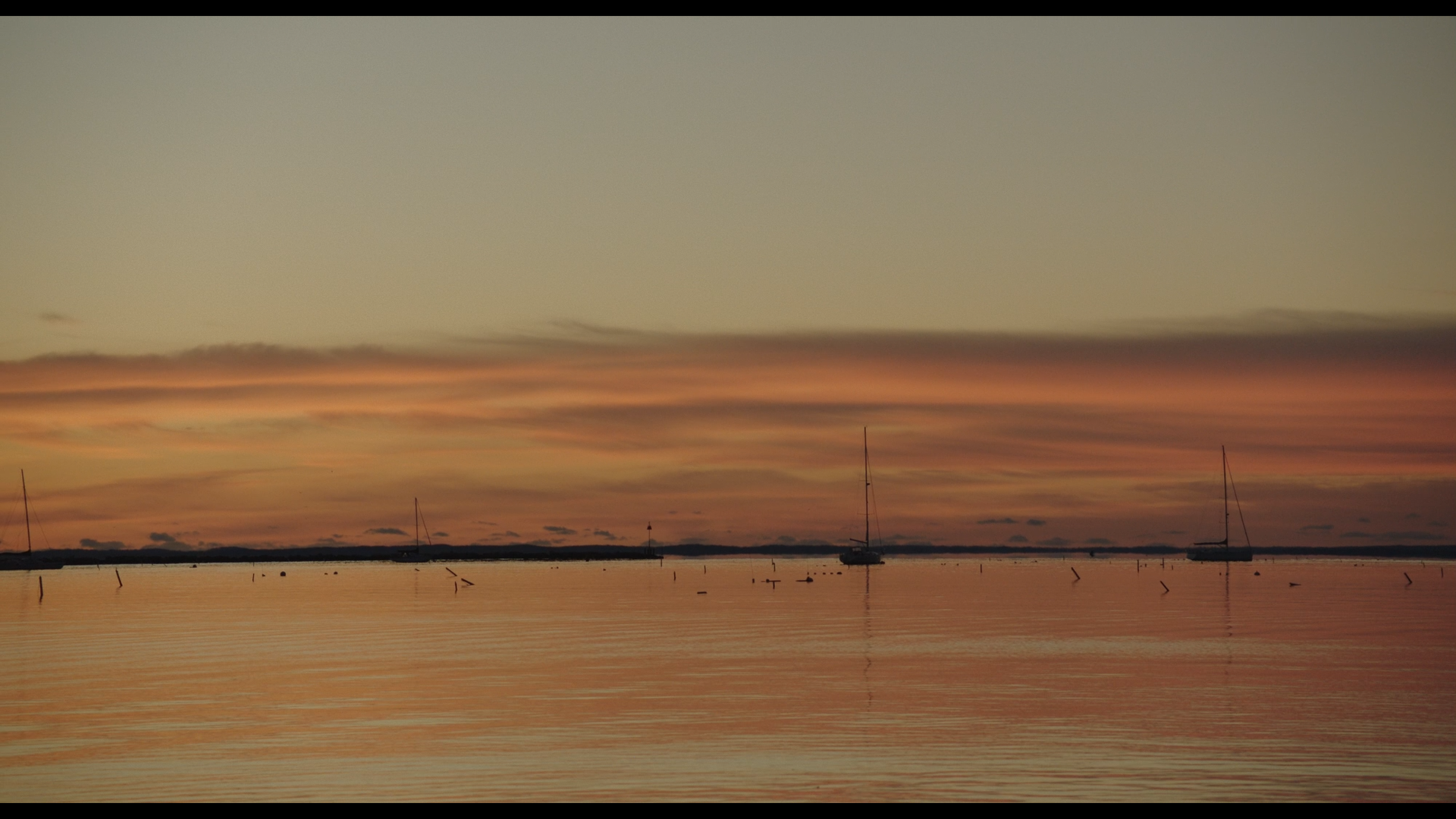 Still 2025-11-04 165110_1.2.5.png