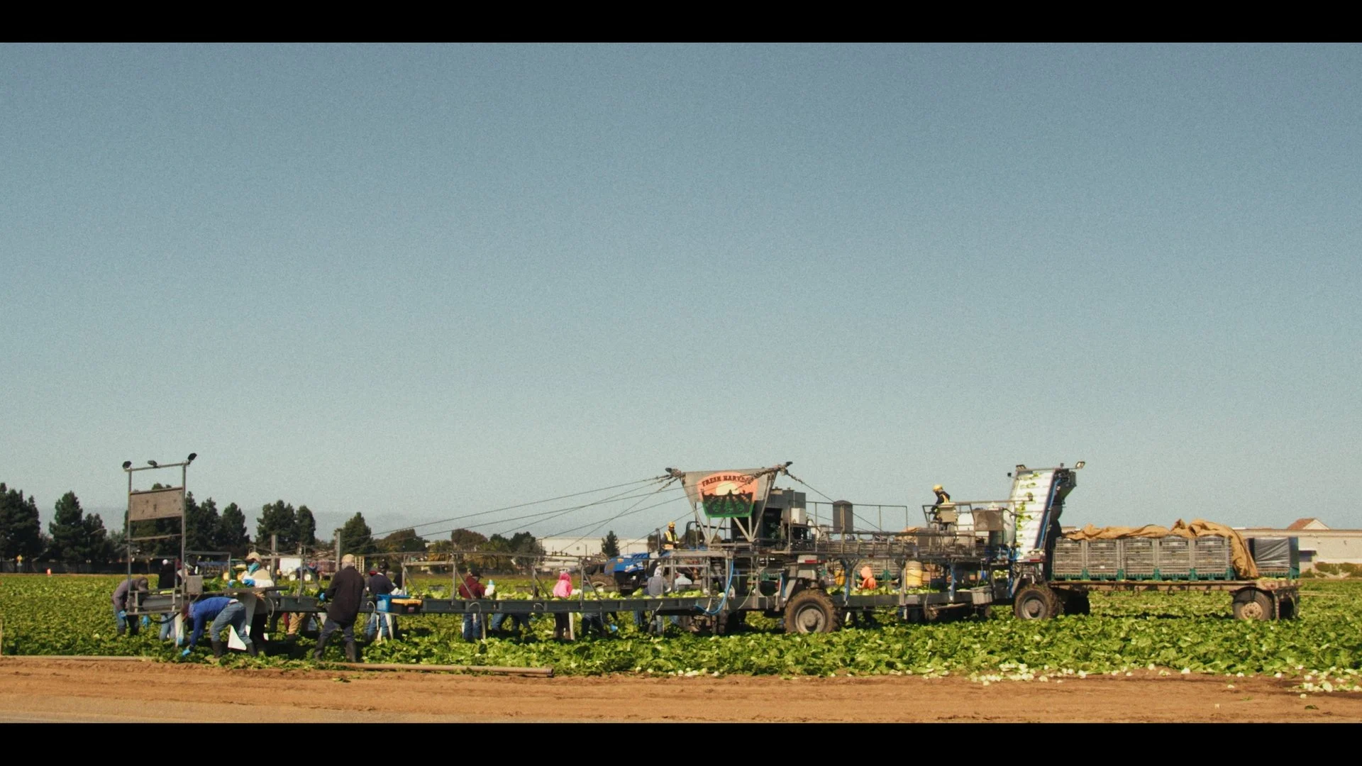 Still 2026-01-22 102936_1.1.10.jpg