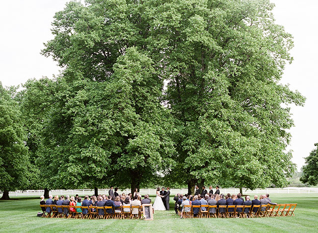 ceremony under a tree at castle hill cider in charlottesville