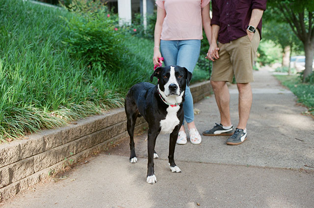 Fuji 400H photo of couple walking dog - Sarah Der Photography