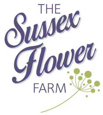 Sussex Flower Farm