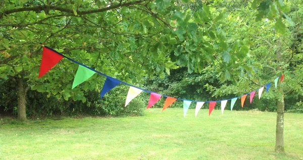 Carnival Bunting