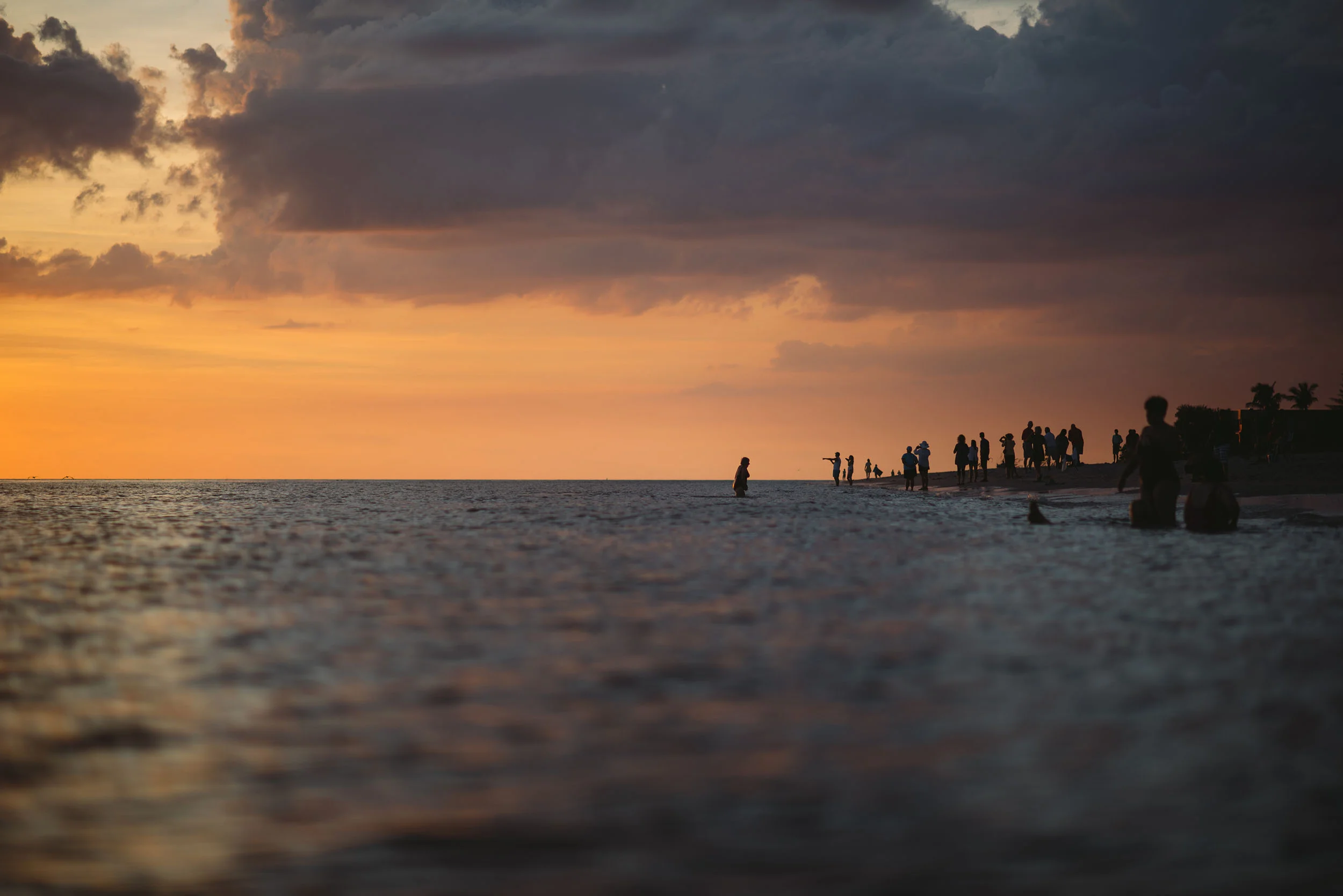 Florida_2015_0215.jpg