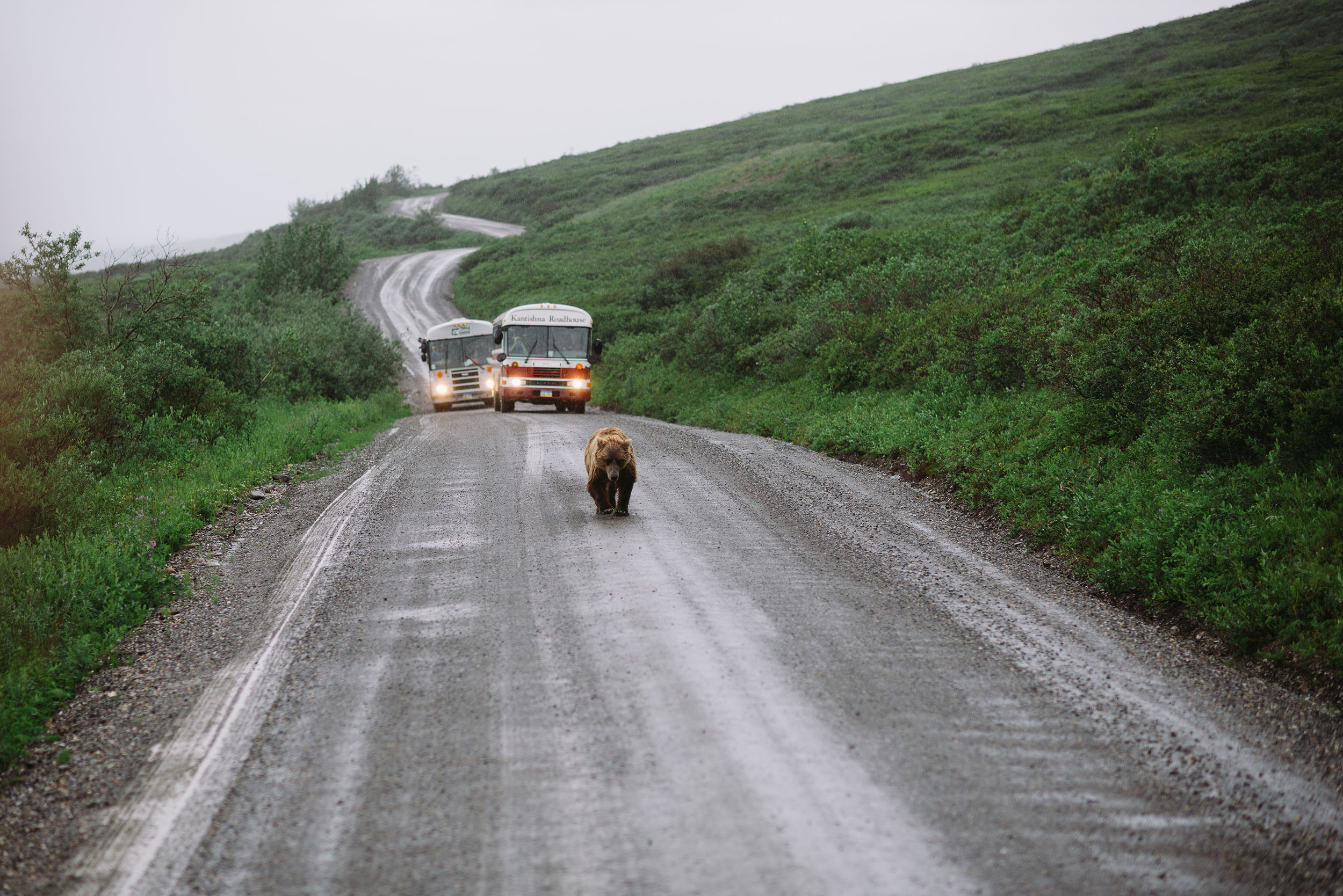 Alaska_2014_00310.jpg