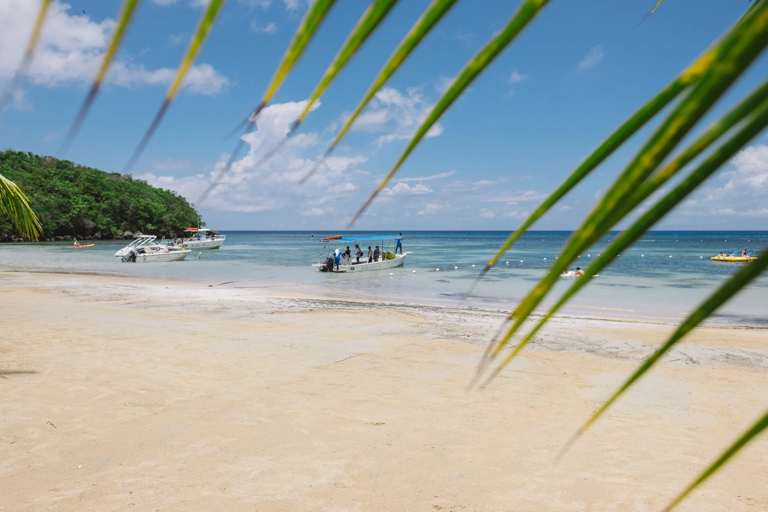 Jamaica_2017_0312.jpg