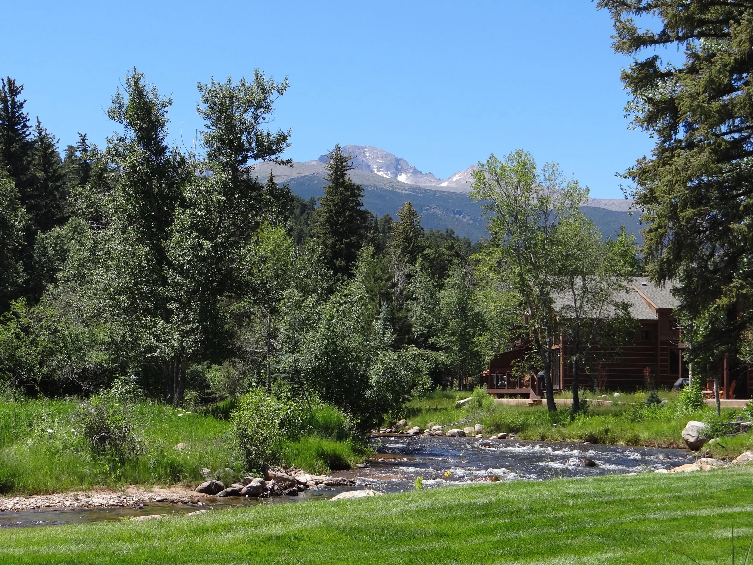 Backyard in summer.jpg
