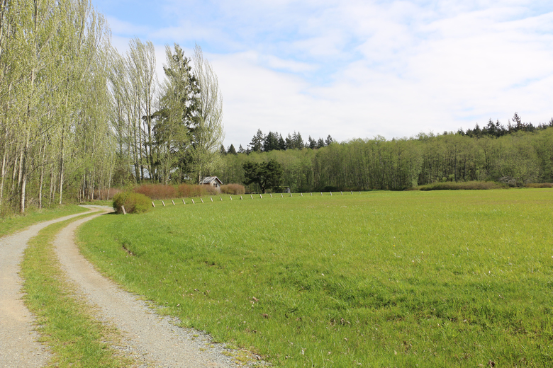 This sunny and expansive Maxwelton Valley property will be the new home of Whidbey Island’s Organic Farm School, thanks to the generosity of Ron and Eva Sher. (Courtesy Judy Feldman)