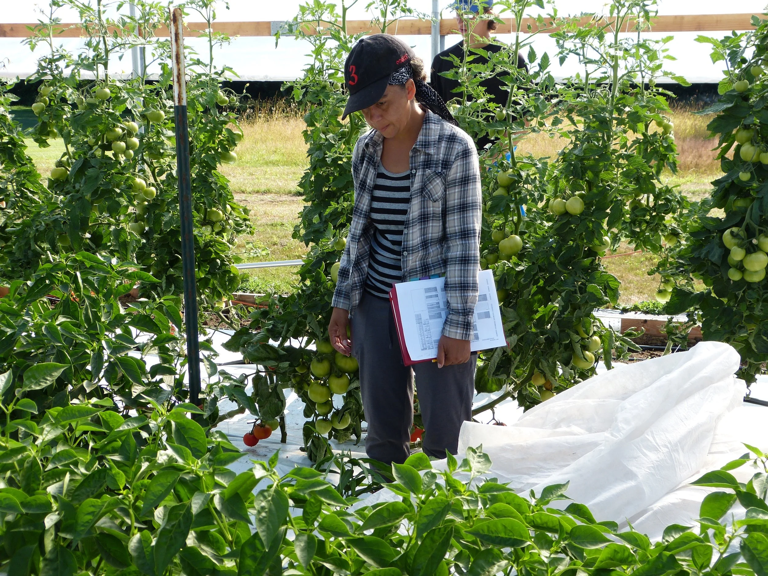 Greenhouse Management