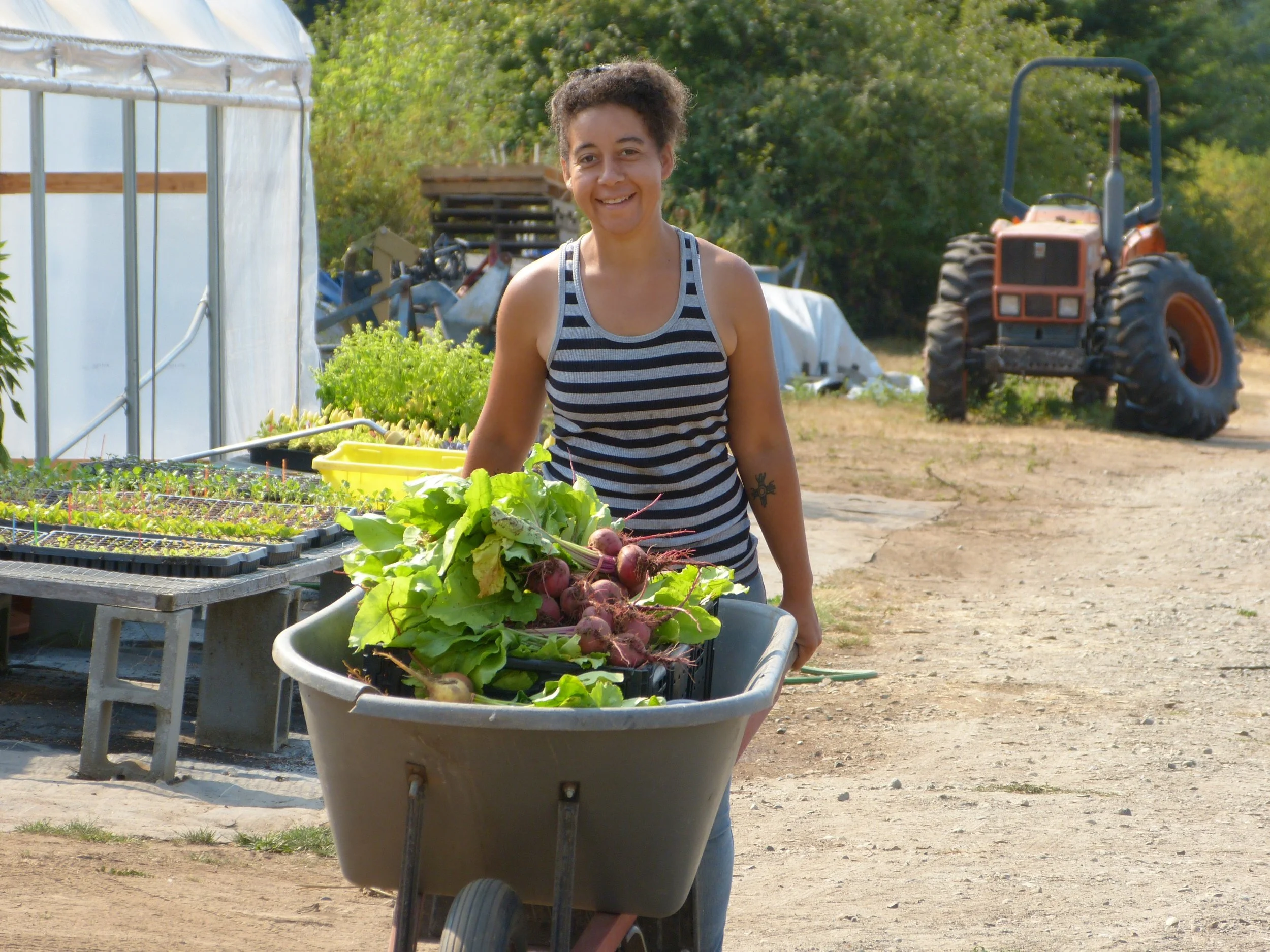 Harvesting
