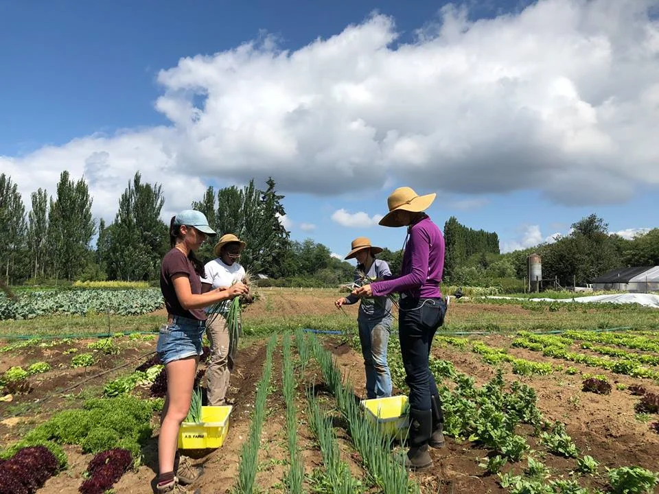 harvest work in July 2018.jpg