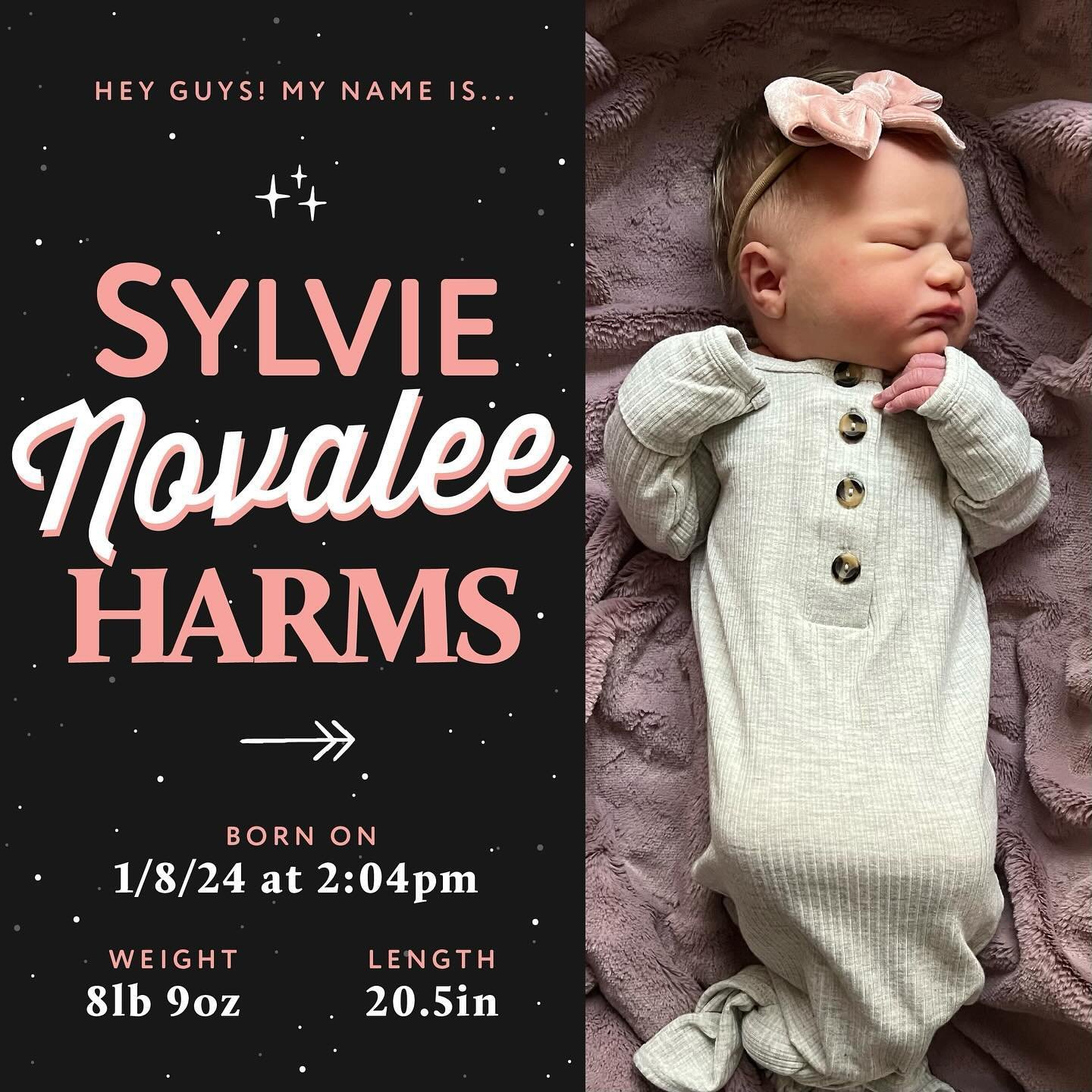 We are thrilled to introduce our sweet daughter, Sylvie Novalee, born on the snowiest Monday afternoon &mdash;the most beautiful way to start this new year.

One of the first songs we heard when we found out we were expecting again was &ldquo;To Not 