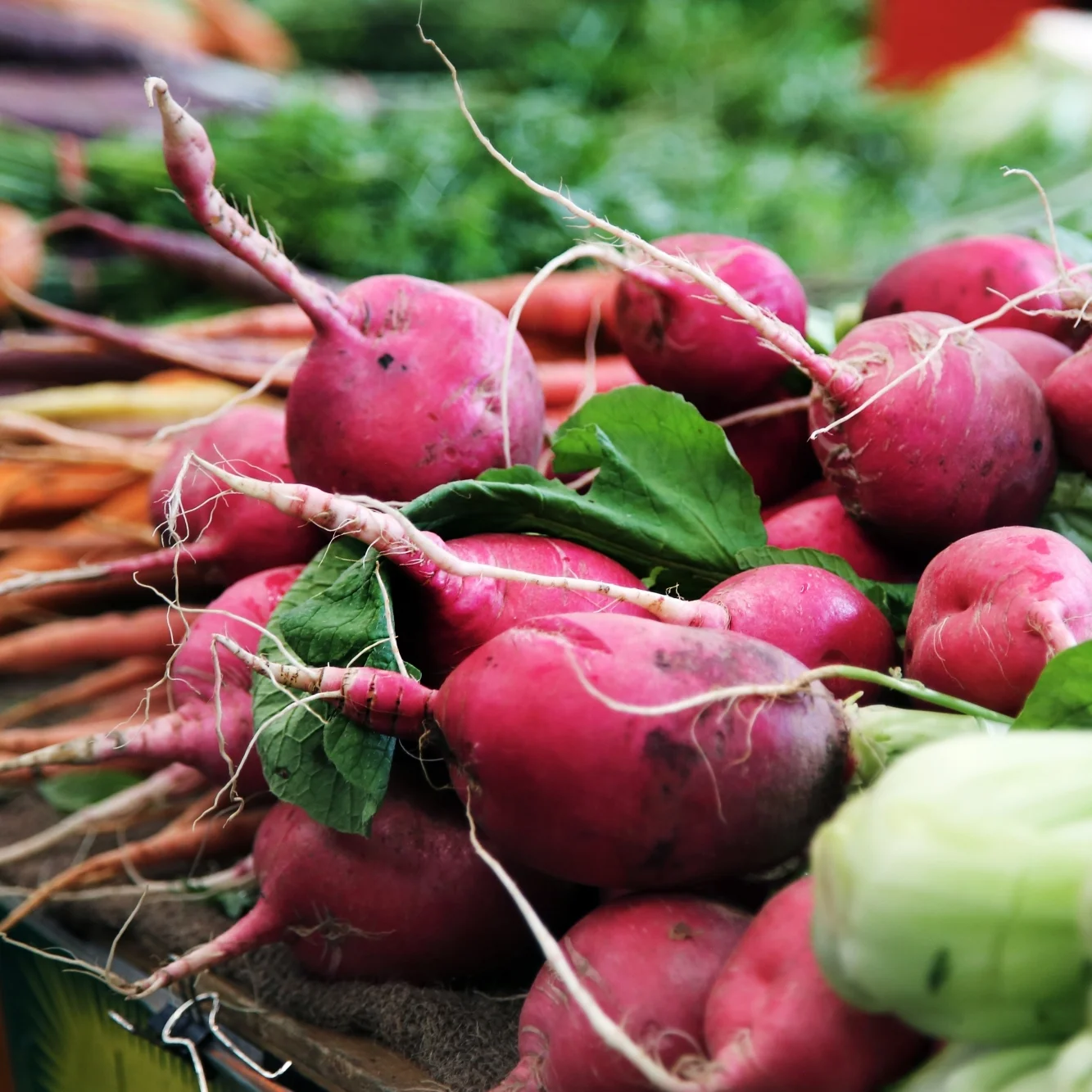 radishes.jpg