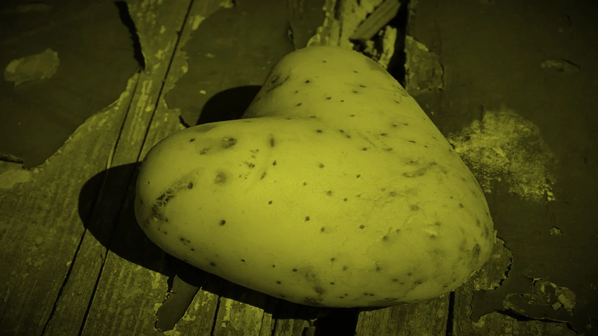 The-Sexy-Potato-opt-NOTEXT.jpg