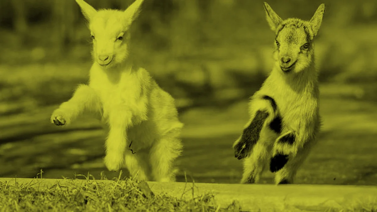 GREENER-PASTURES-Philip-VanDusen-NOTEXT.jpg