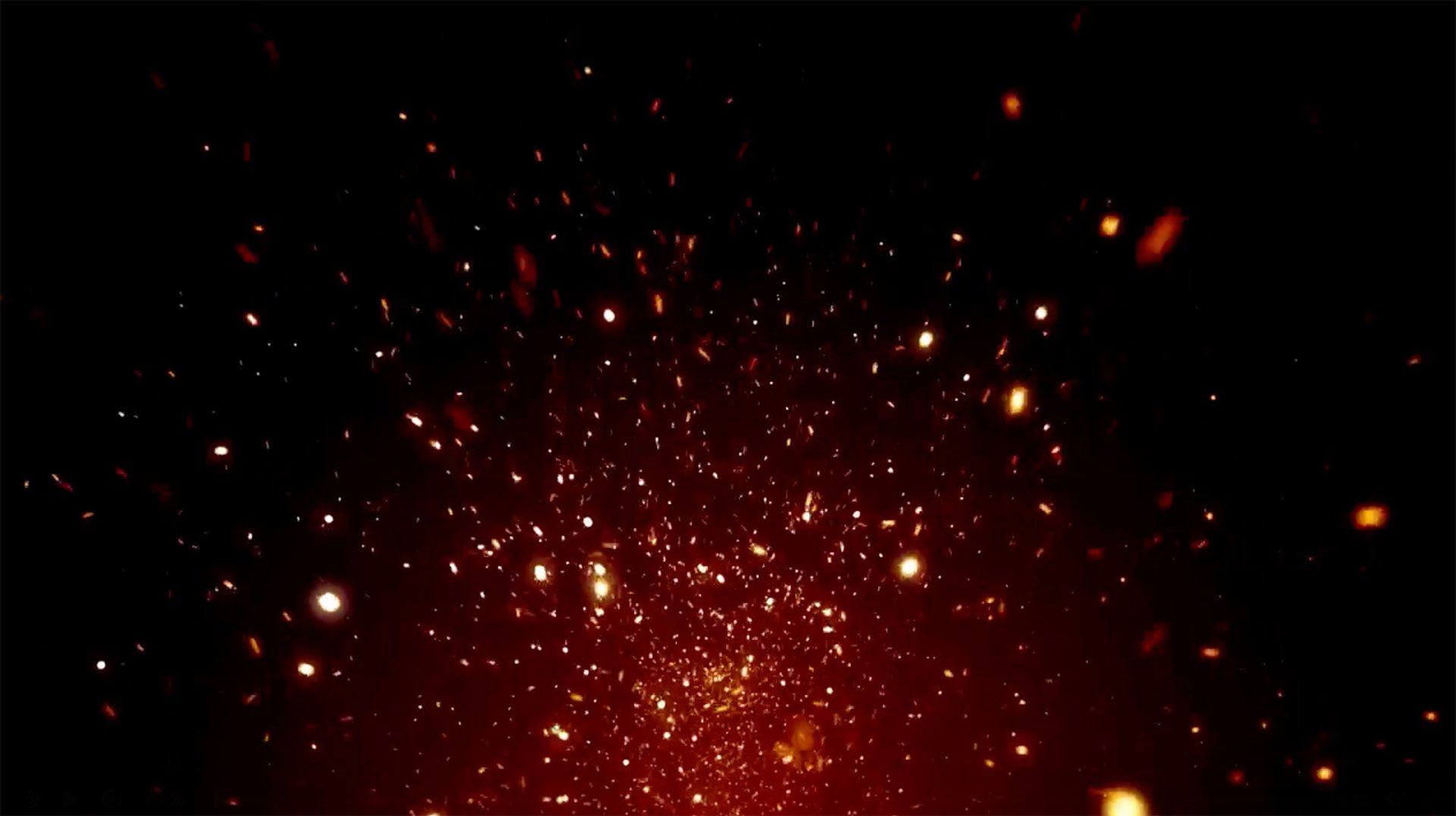 sparks still image.jpg