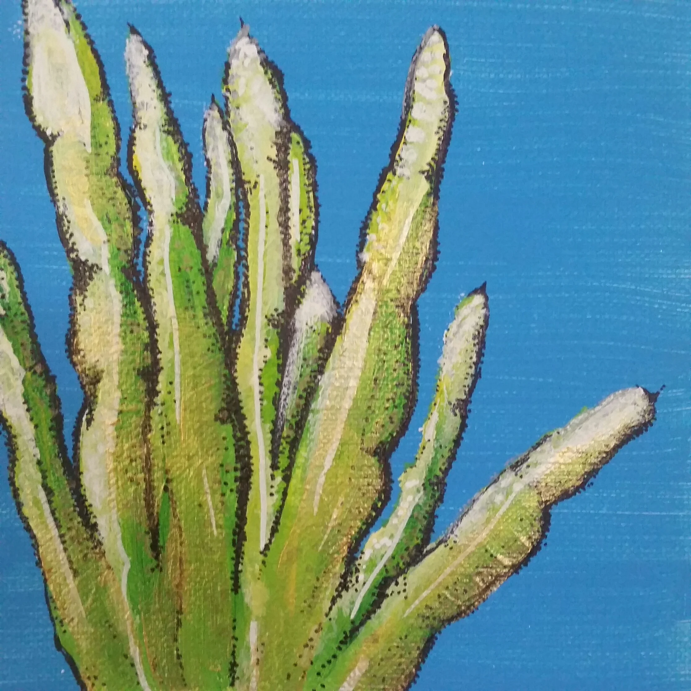 Aloe on canvas 8inx8in $45