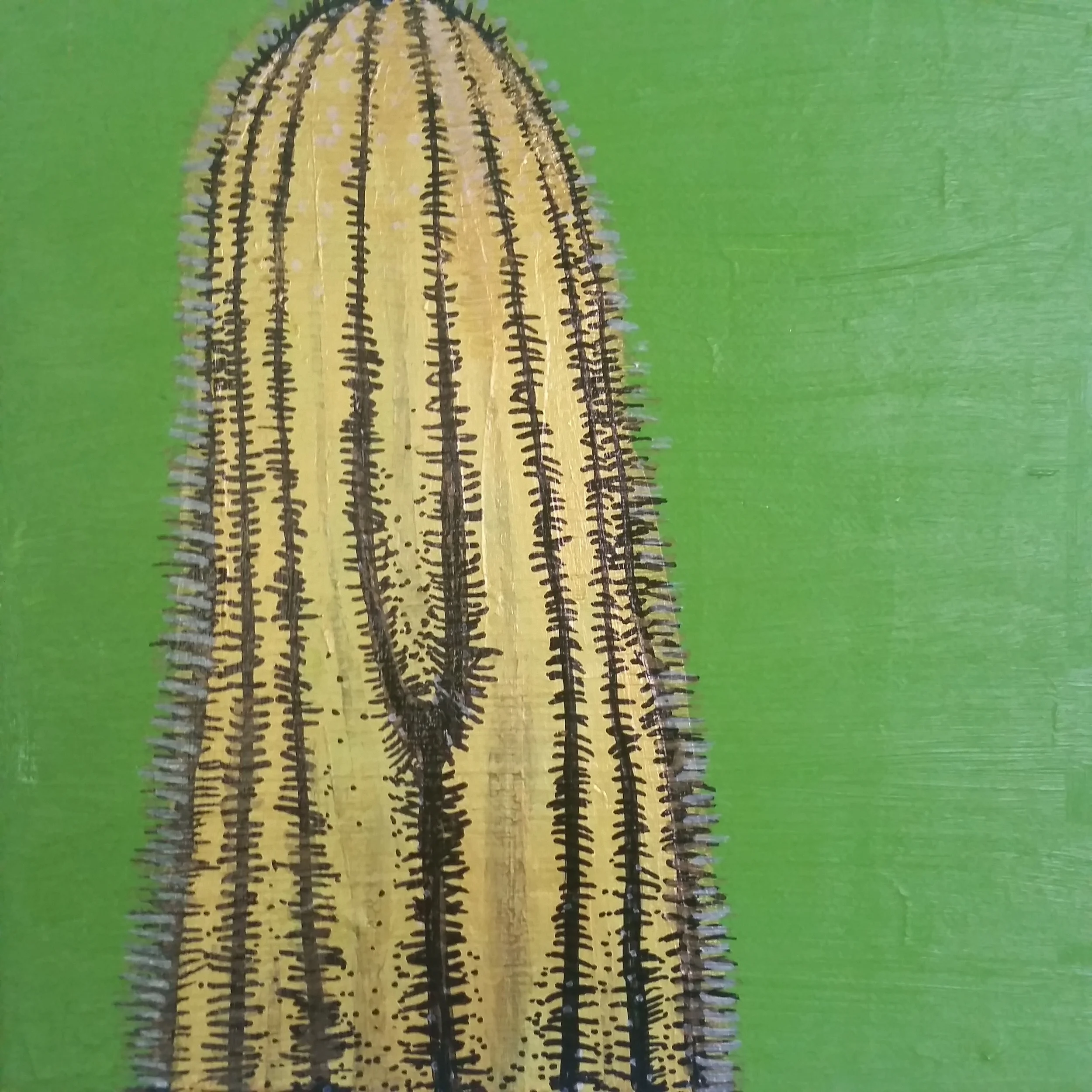 yello cactus