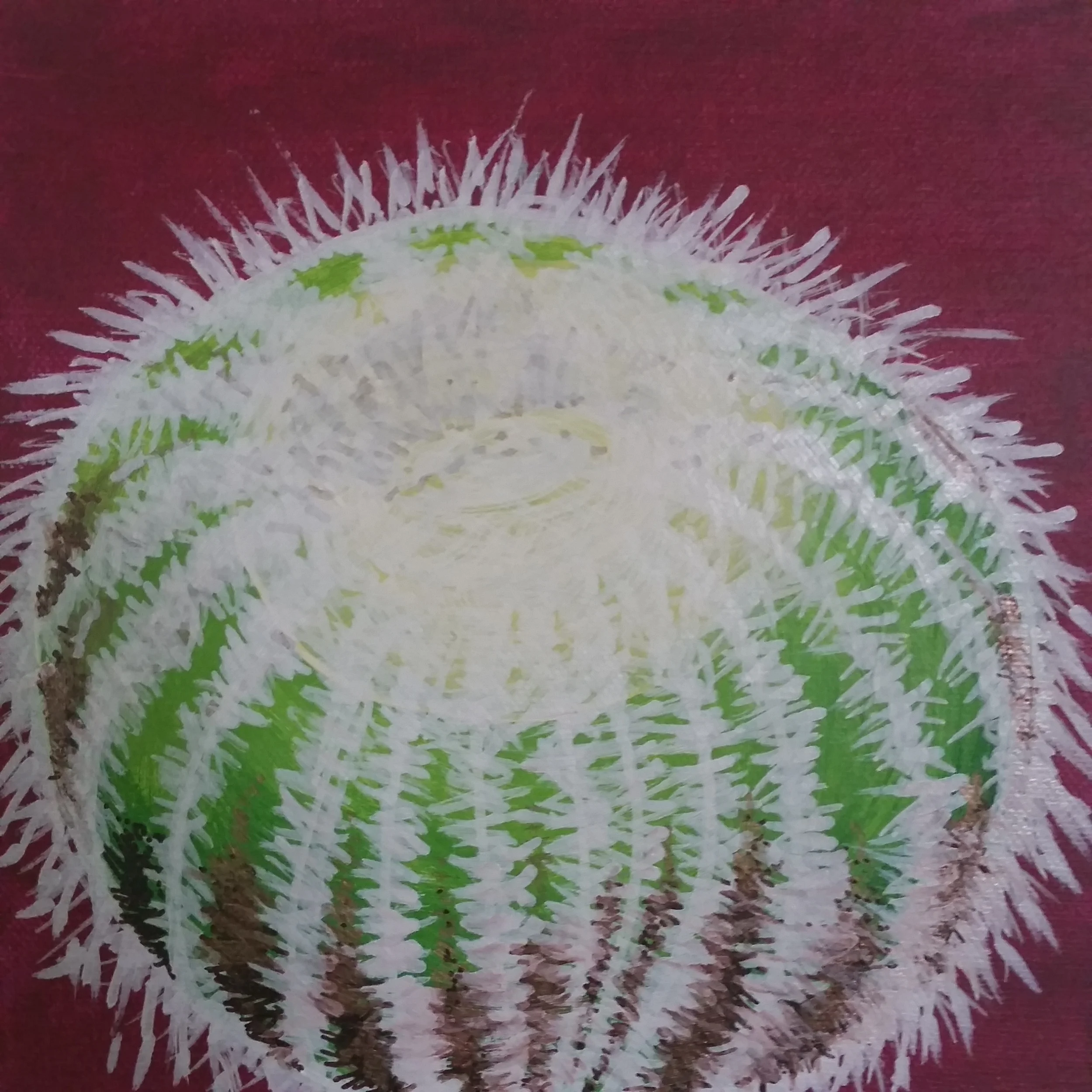 Barrel Cactus