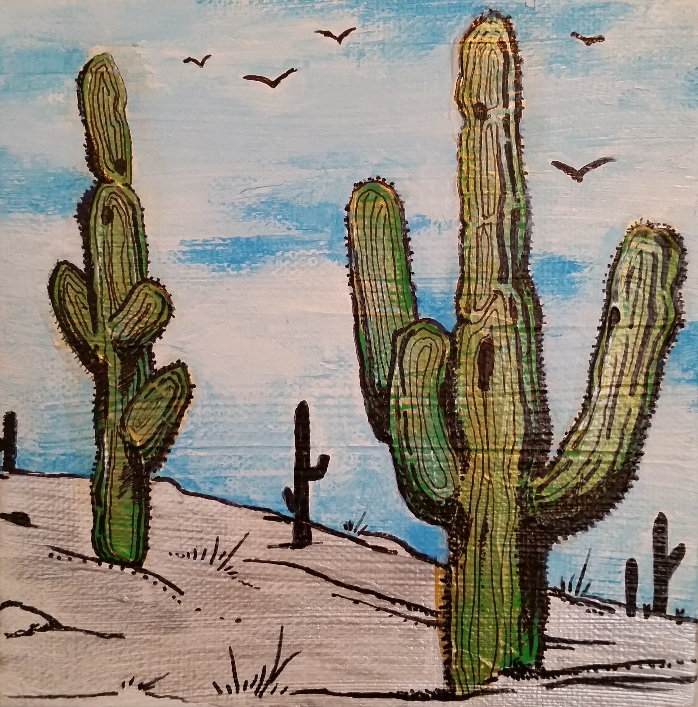 Sequaro Desert