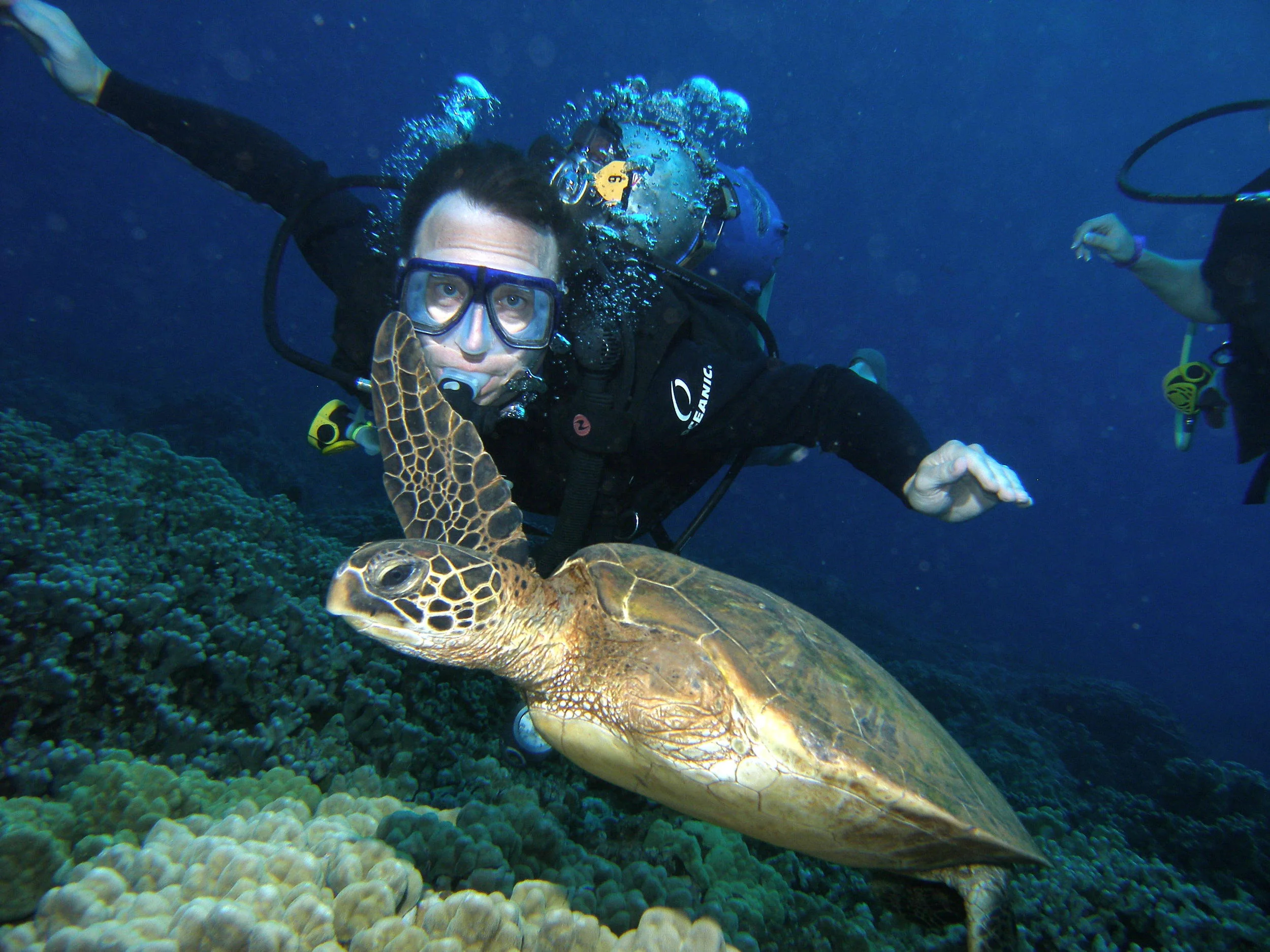 maui daddy diving with lucky.jpeg