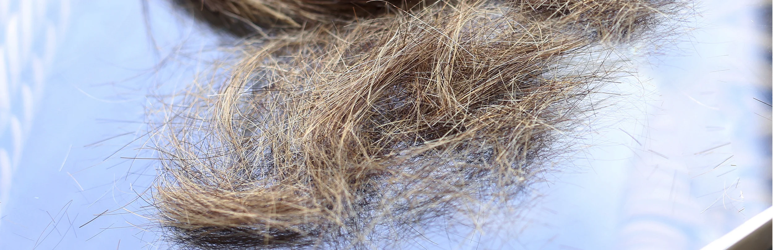 Avoiding split ends