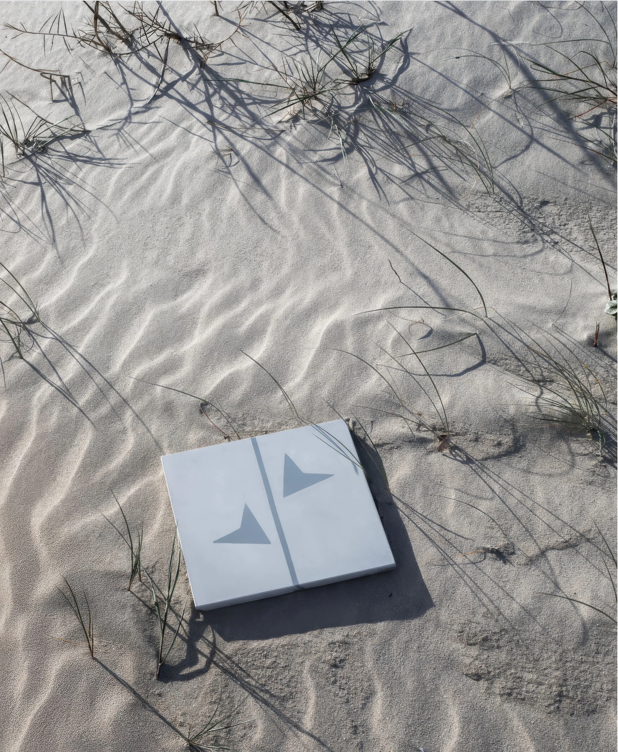 0002 Topaz Gigapixel 4x scale.jpg