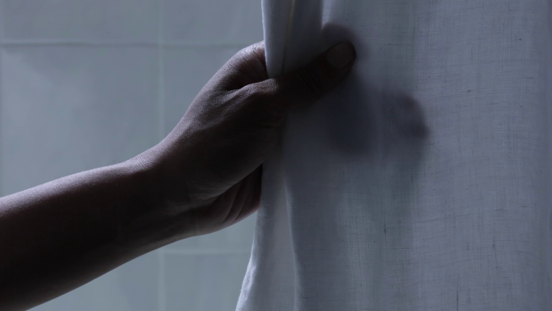 Shower Curtain.png