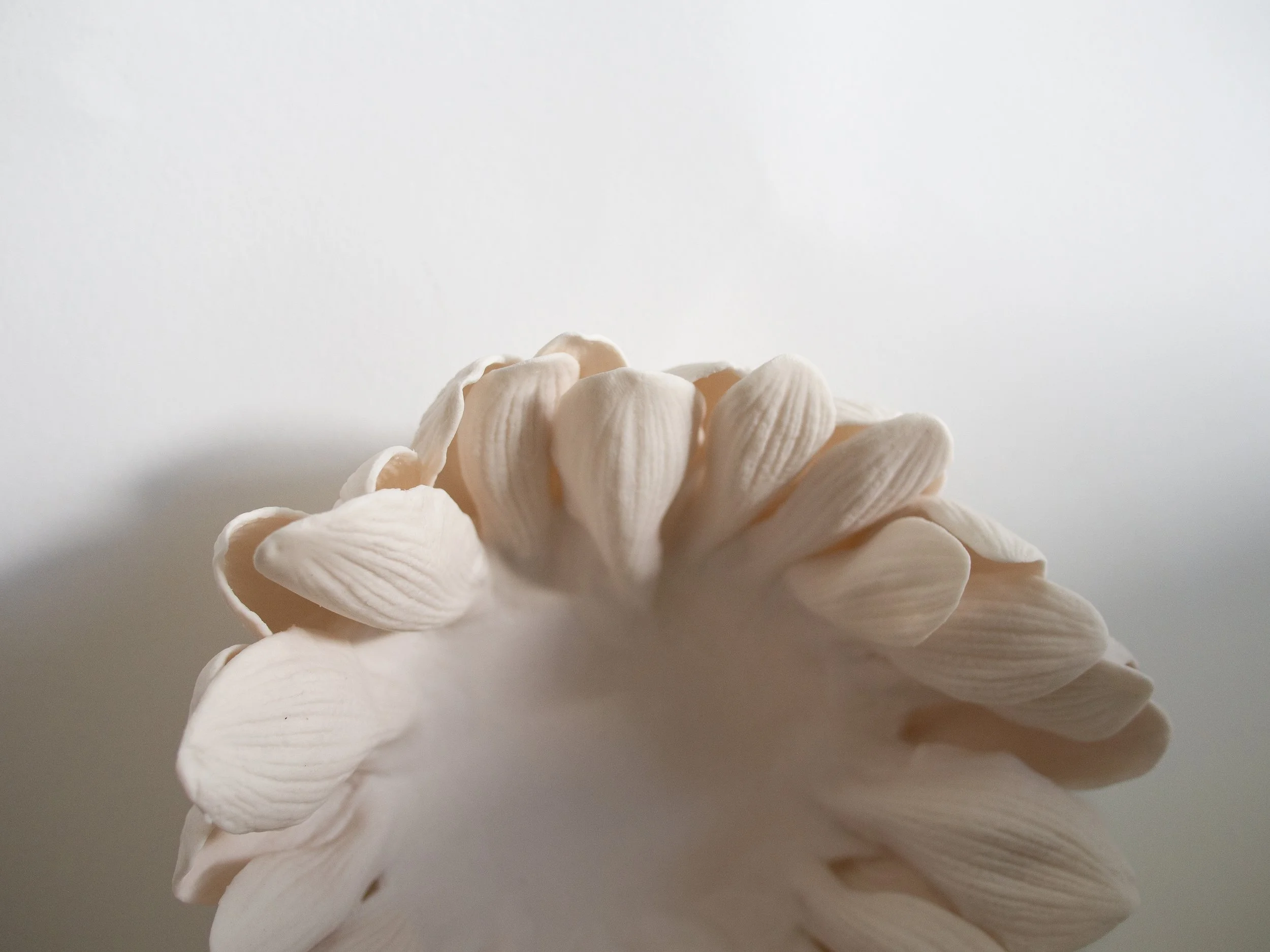 Close-up of cream-colored porcelain petals arranged in a circular pattern with a plain background.