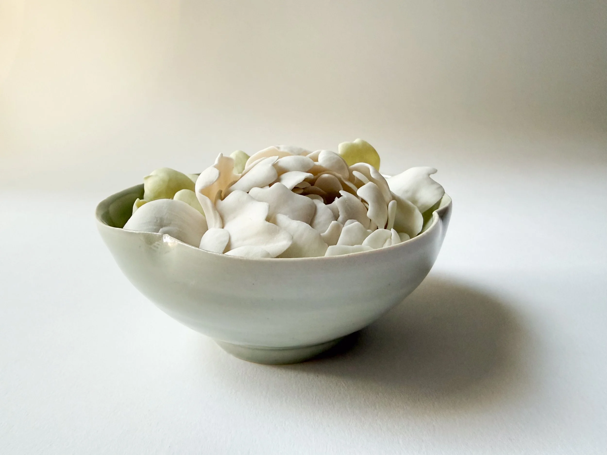 A white ceramic bowl filled with white porcelain peony flower petals, set against a plain light background.