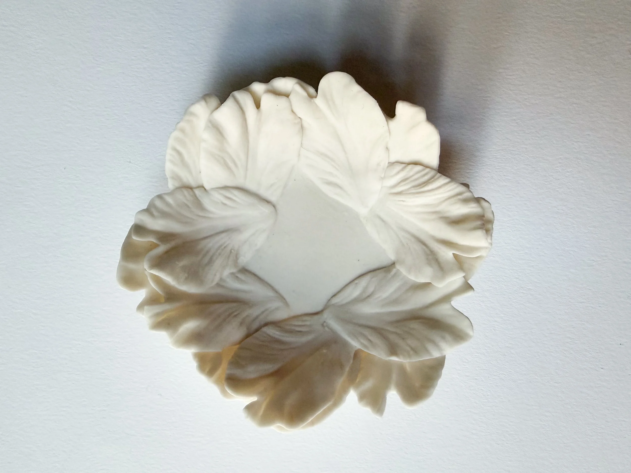 Close-up of a white porcelain dish  with floral petal design.