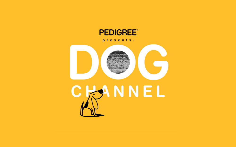 dog.jpg