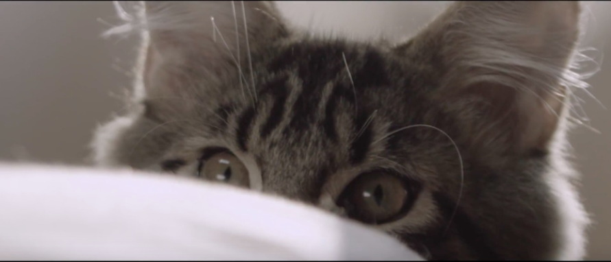 Screen Shot 2019-01-03 at 16.55.30.png