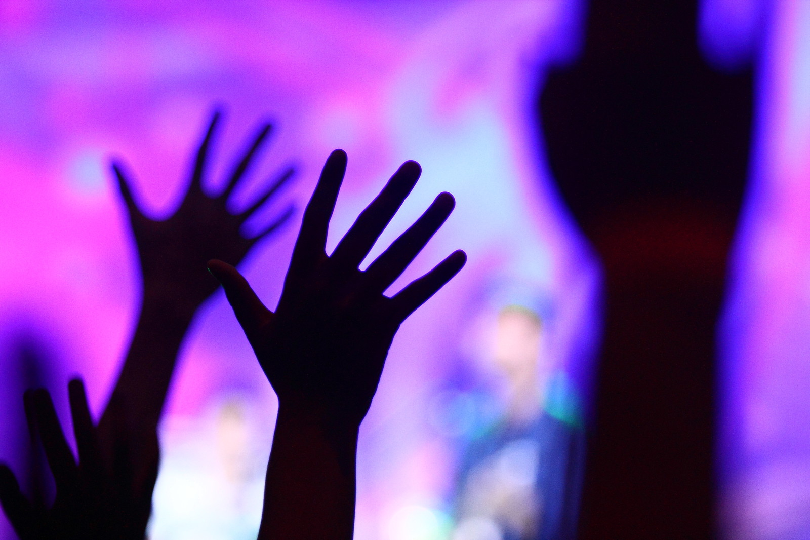 IMG_6983-X3.jpg