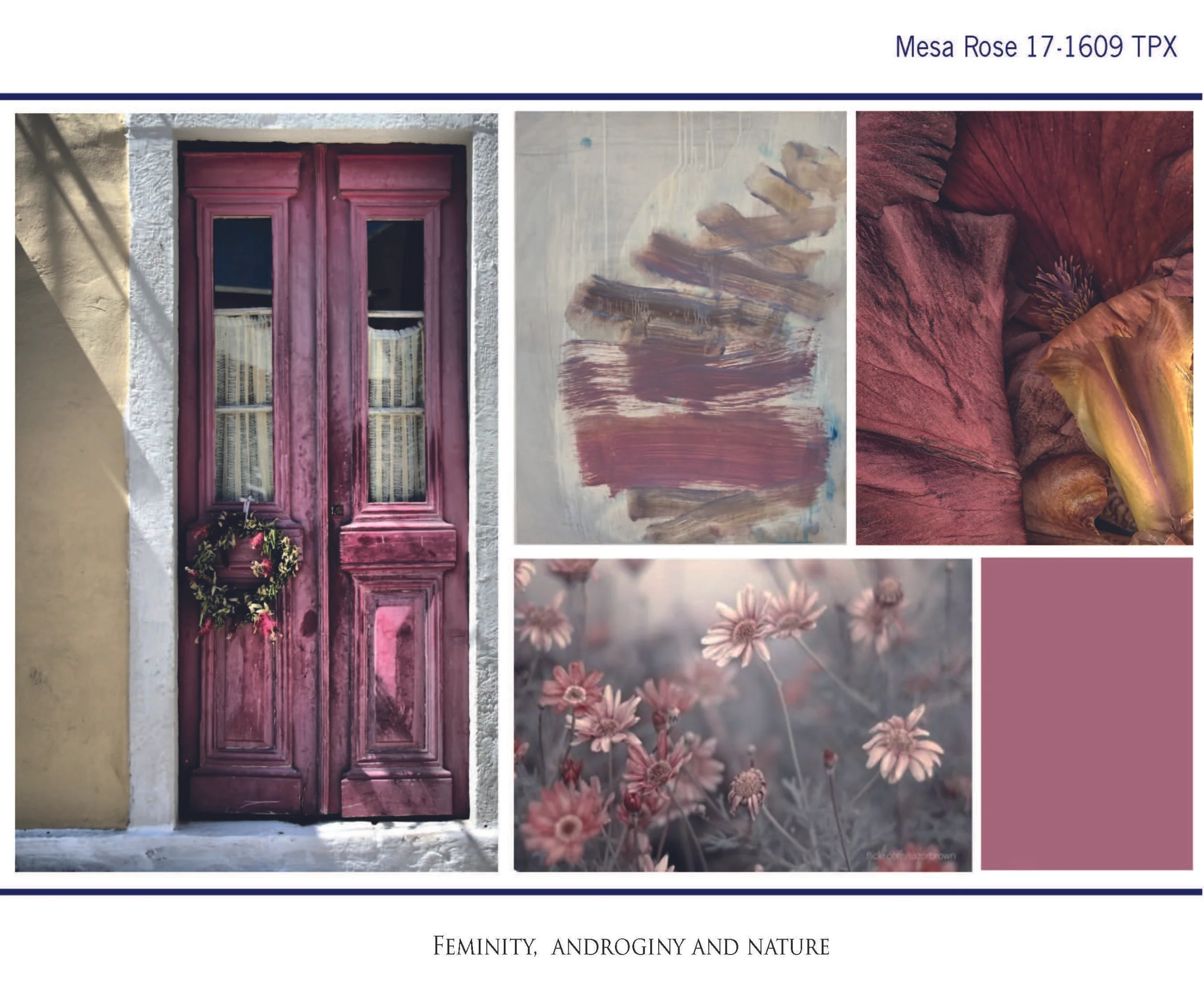 Seasonal direction website_Page_13.jpg