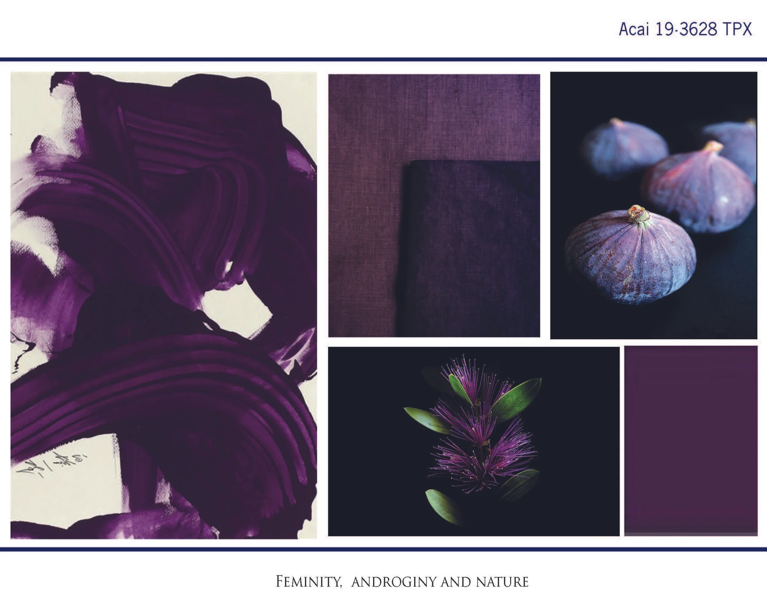 Seasonal direction website_Page_15.jpg