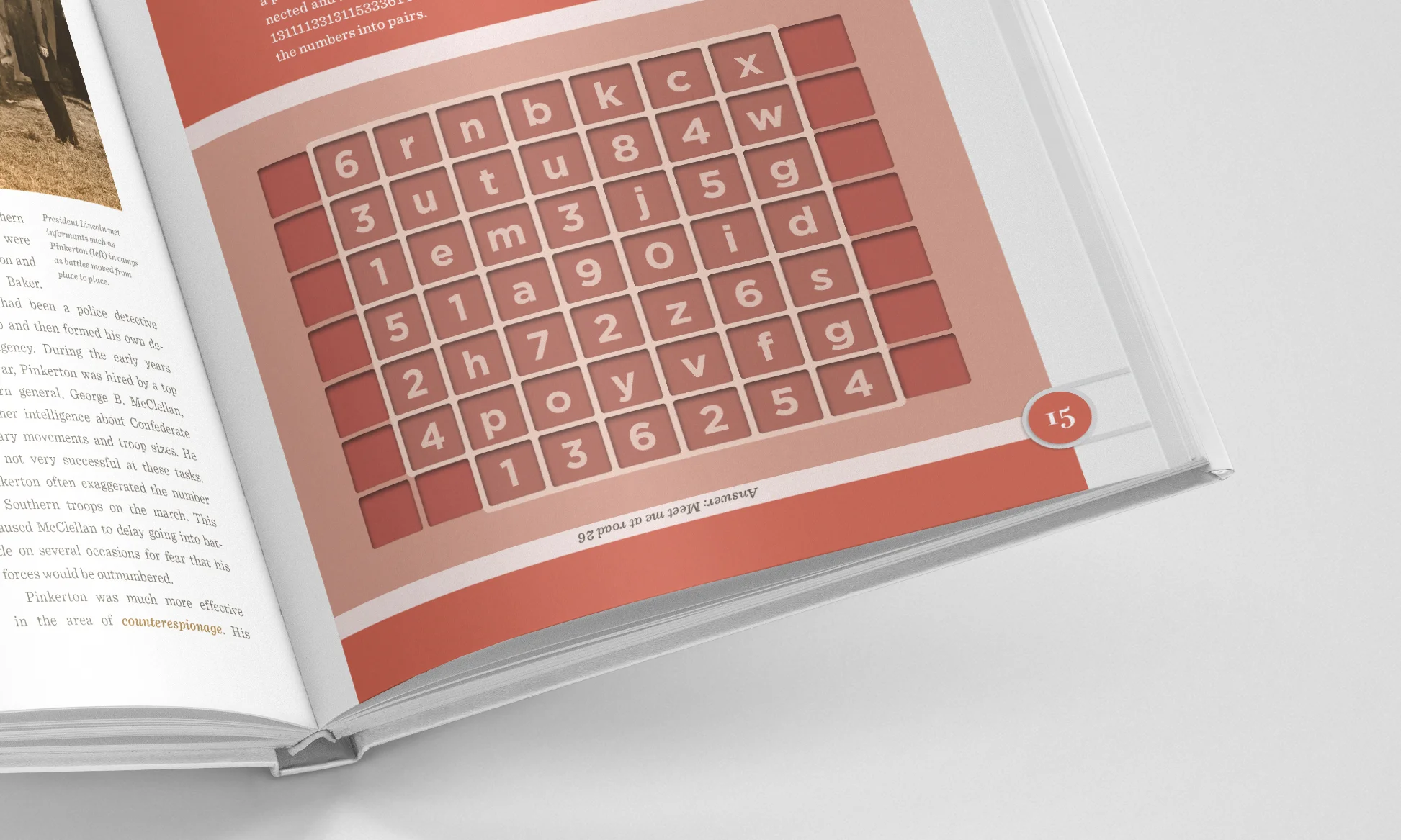 ws_puzzle_closeup.jpg