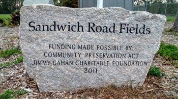 SandwichRoad-Thumb.png