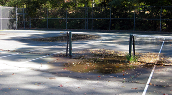 SwiftPark-Thumbs.png