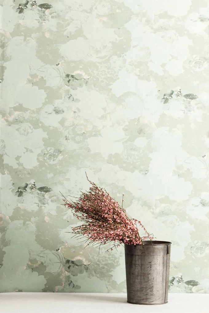 lichen-sml.jpg