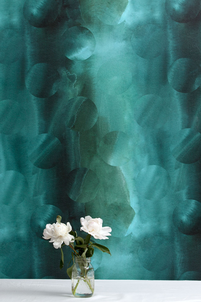 kelp-SMfull.jpg