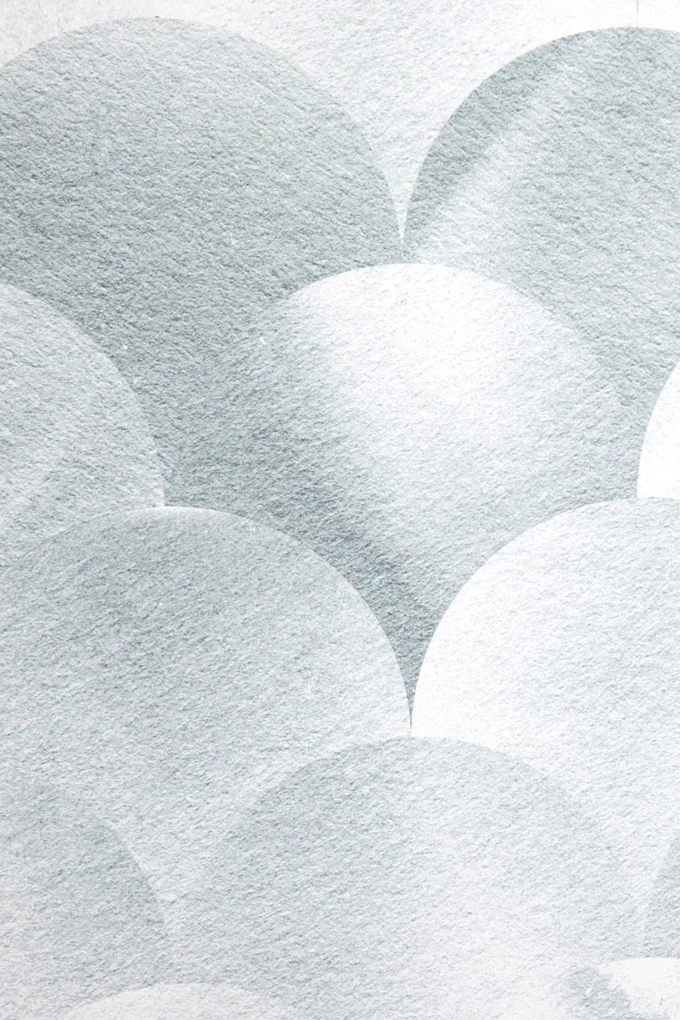 silver-birch-SMdetail.jpg