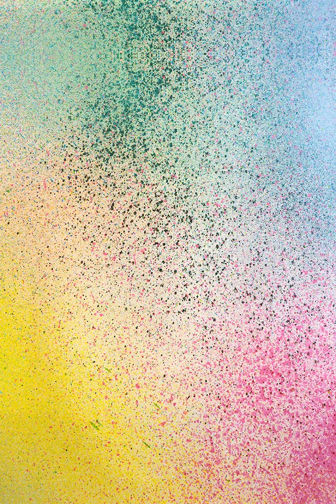 dondi-fabric-SM.jpg