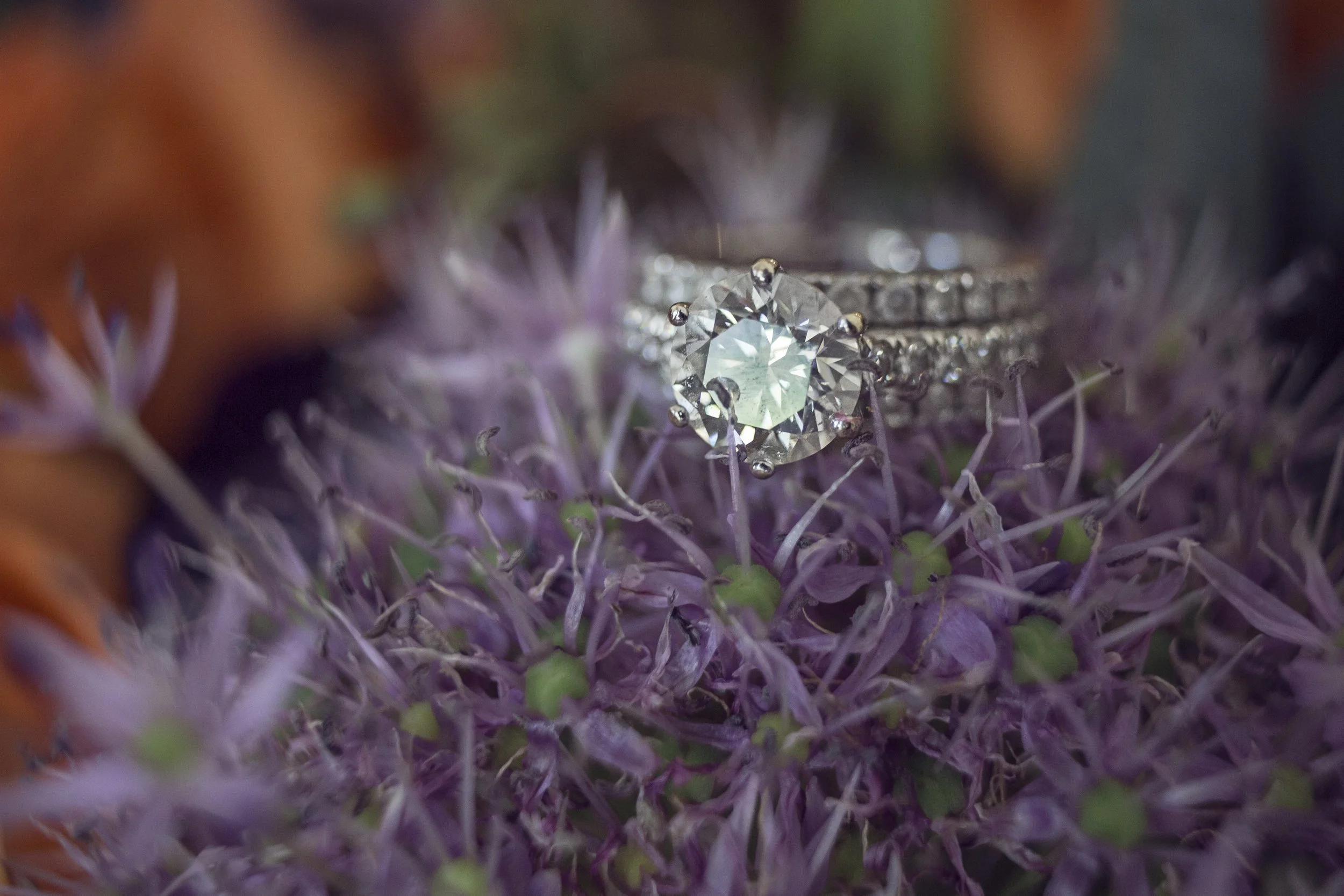 Jolisephoto036.jpg