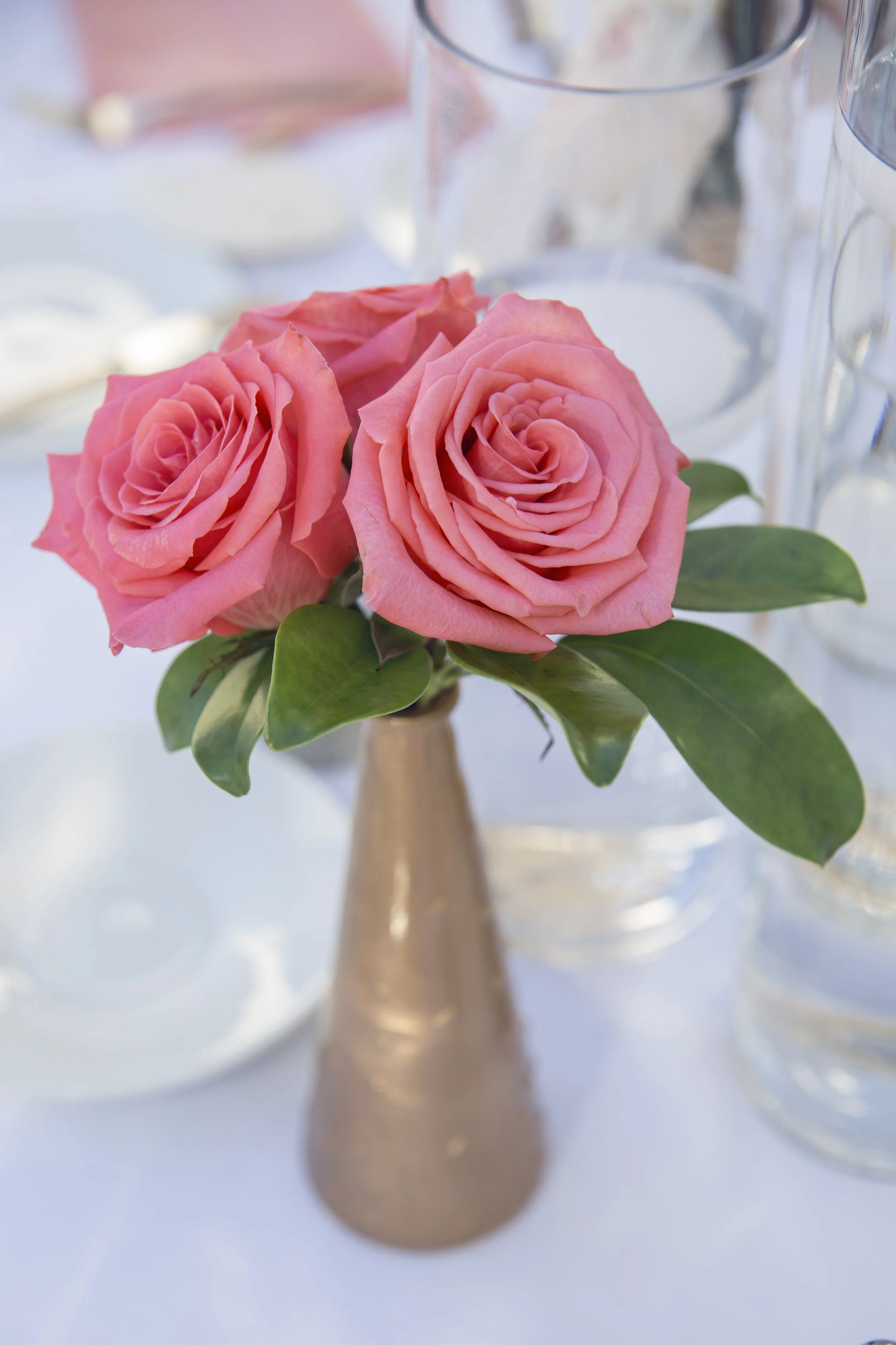 Jolisephoto047.jpg