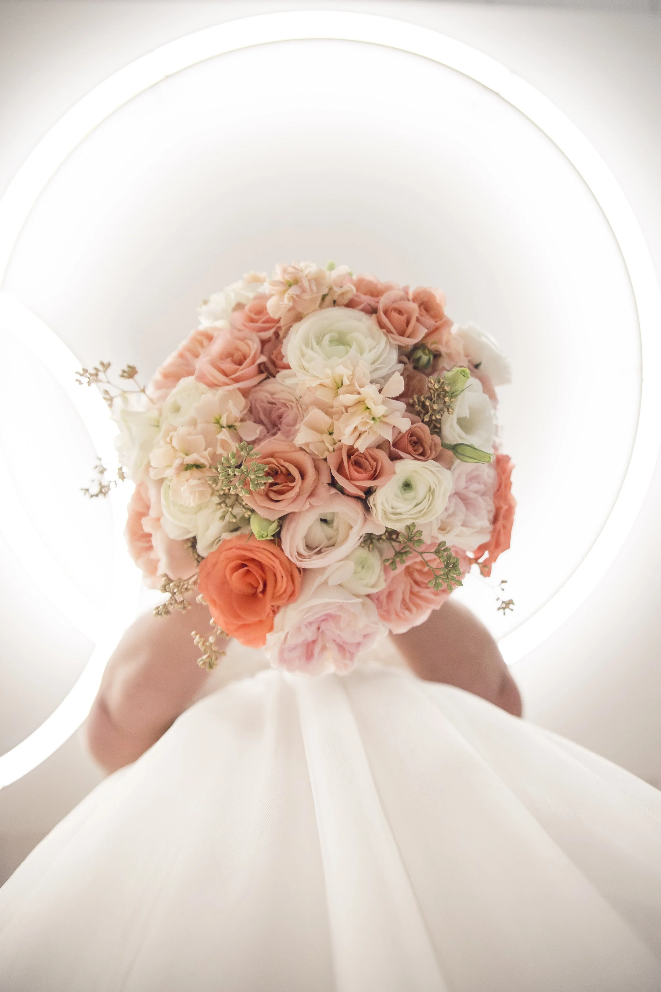 Jolisephoto229.jpg