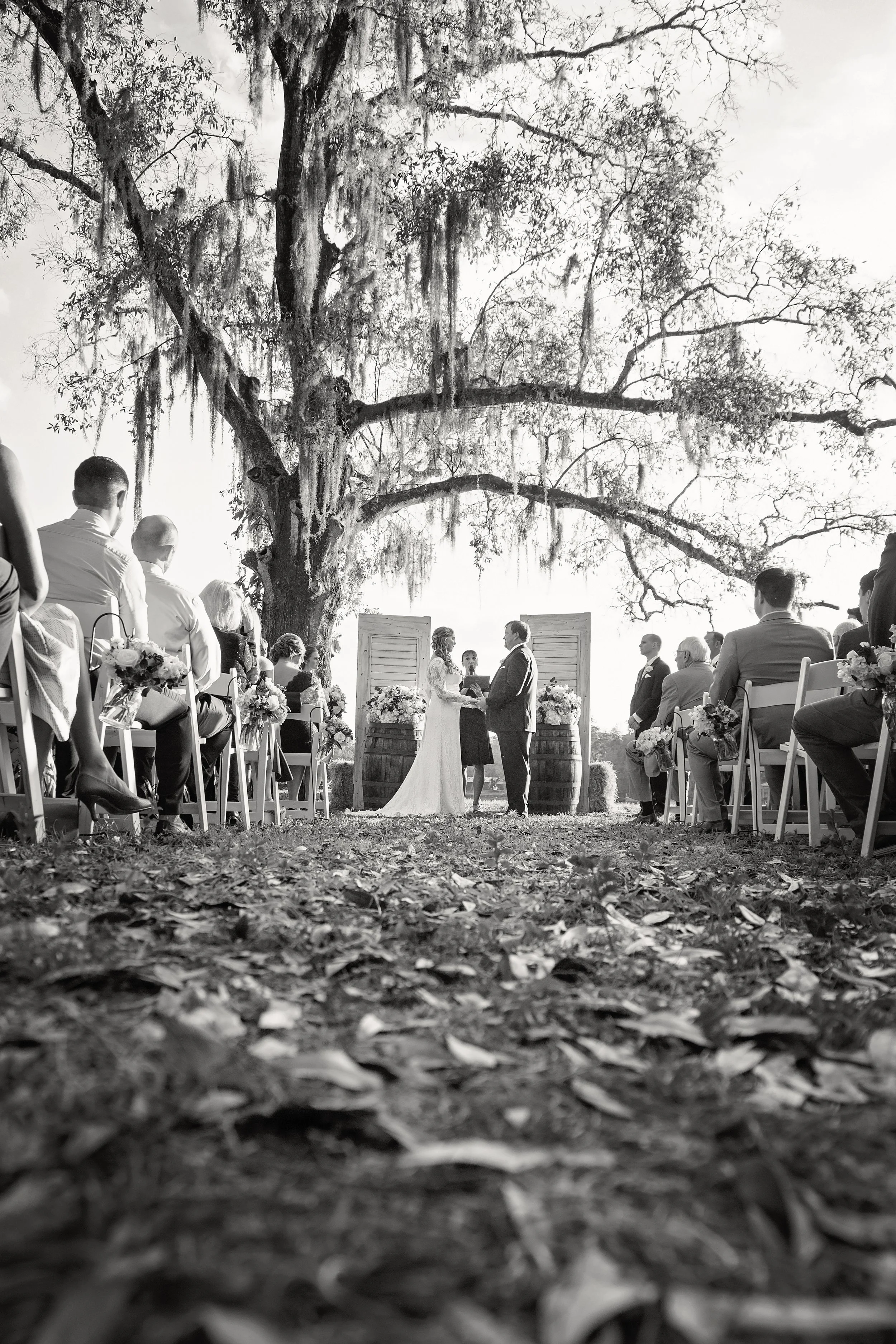 Jolisephoto452.jpg
