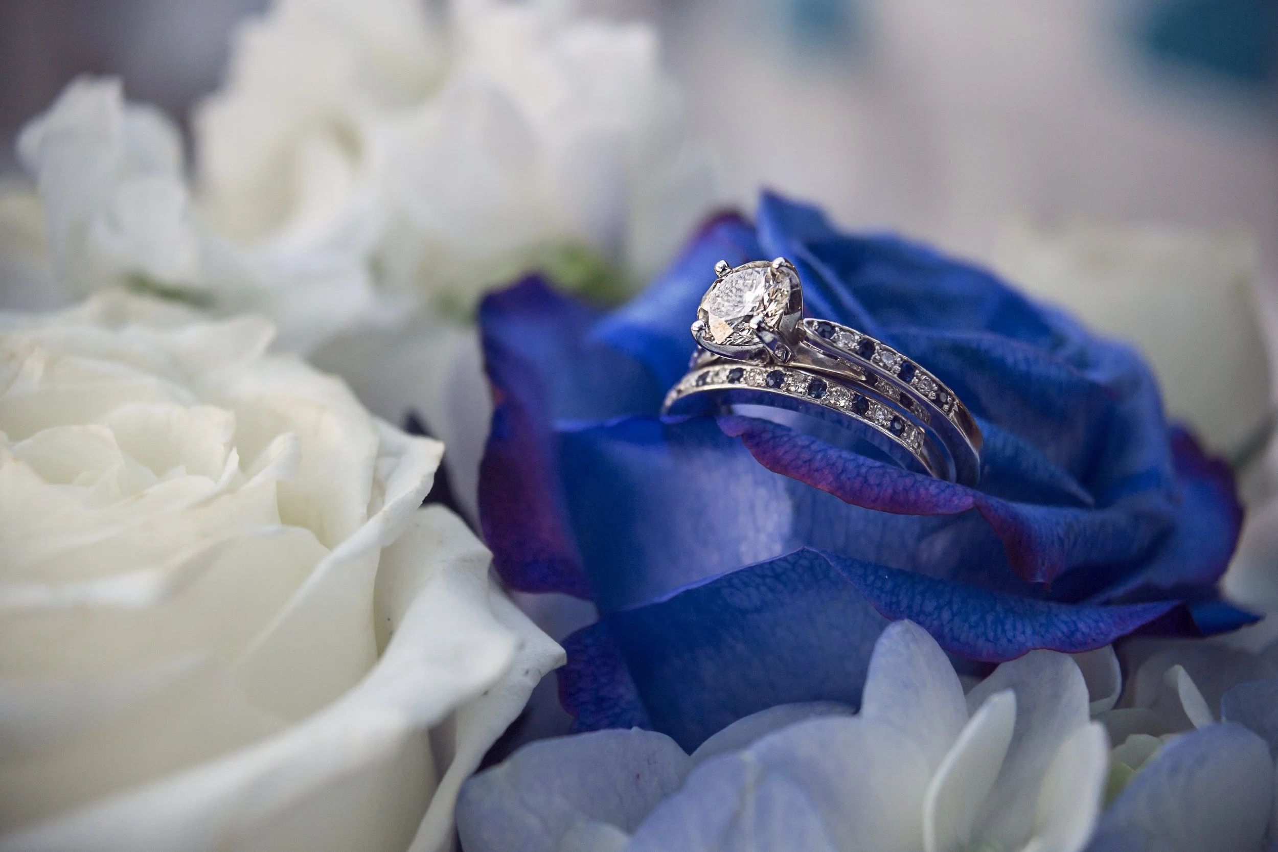 Jolisephoto622.jpg