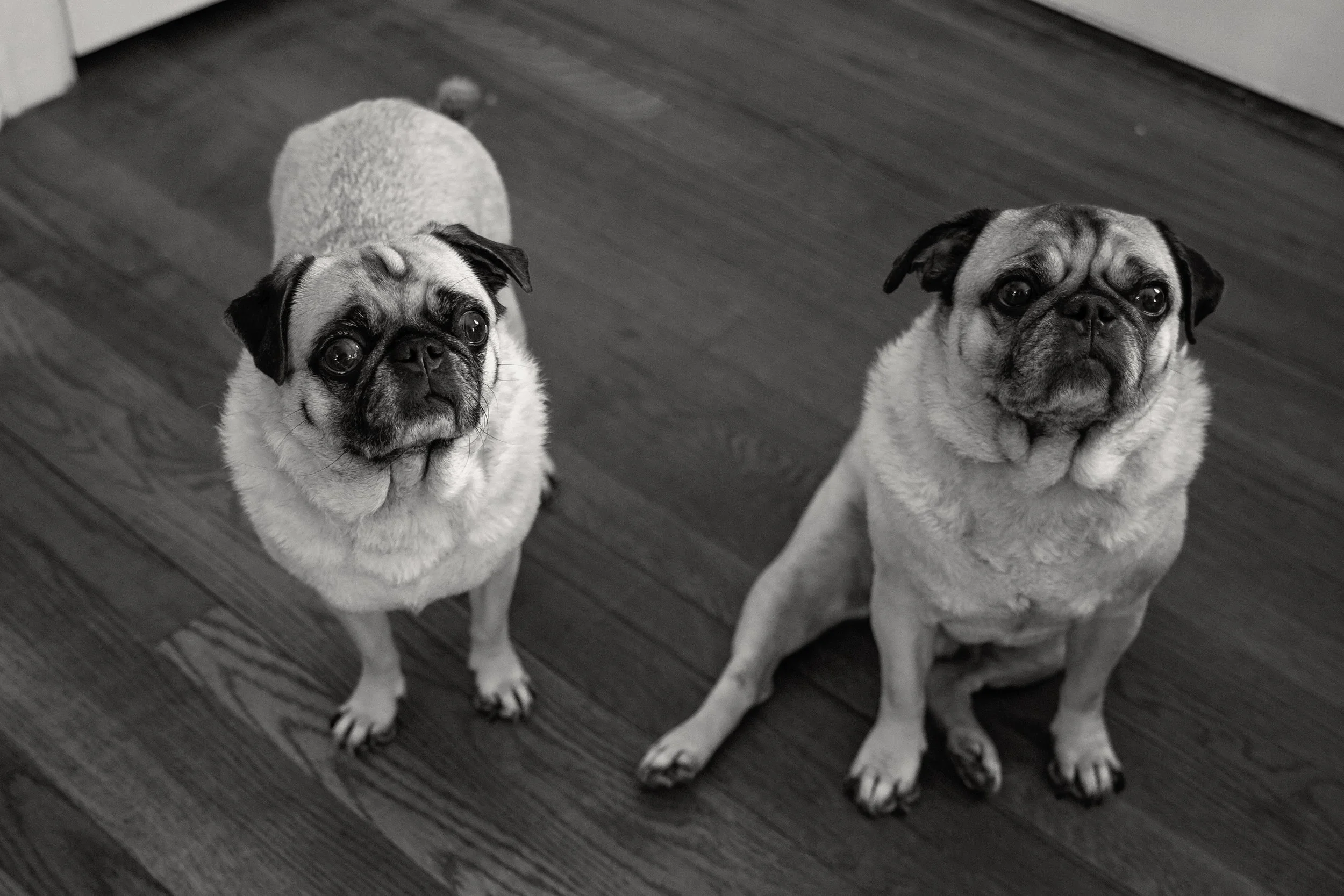Jolisephotography019.jpg