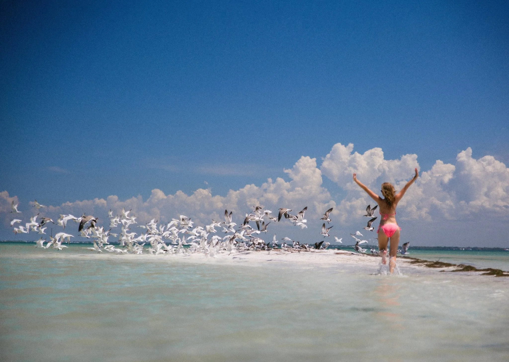 Headed into the weekend like&hellip; ☀️🌊👙🦩