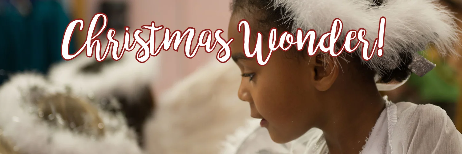 WonderTwitterBanner1500x500.jpg